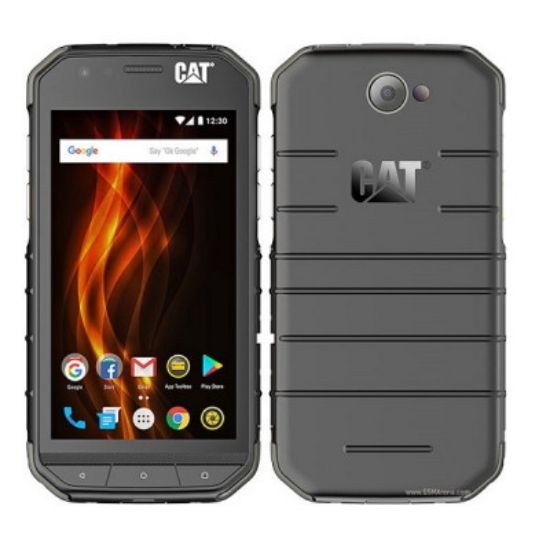 Picture of CAT S31 DS