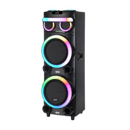 Picture of Zvucnik bluetooth NDR-2270 100W 2*12 inca sa dva mikrofona crni