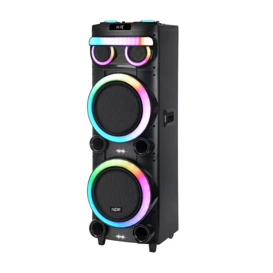 Picture of Zvucnik bluetooth NDR-2270 100W 2*12 inca sa dva mikrofona crni